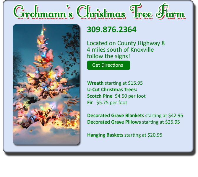 Grohmann's Christmas Tree Farm Knoxville, IL